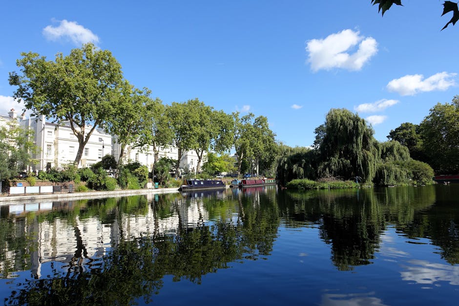 Image of a calm urban river scene with clear blue sky and white clouds overhead. On the left, there are white residential buildings partially obscured by lush green trees with broad leaves. The trees cast reflections on the still water below, which mirrors the greenery and sky. The riverbank has small boats docked along it, with some boats painted in dark and red colors. Dense foliage, including a prominent weeping willow with long, drooping branches, frames the scene on the right. The overall atmosphere highlights a peaceful, natural environment perfect for surface cleaning and maintenance of the surrounding area, characteristic of a boutique residential and recreational setting managed by Bermondsey Carpet Cleaning in line with end of tenancy cleaning standards in Bermondsey Spa Gardens, SE16.